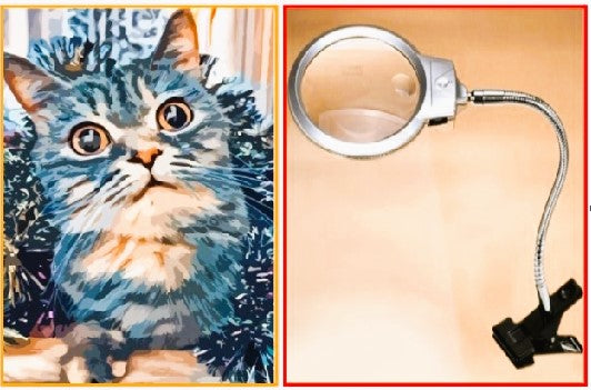 Starter's Pack - Painting By numbers (Blue Kitten) with Magnifying Glass with Light